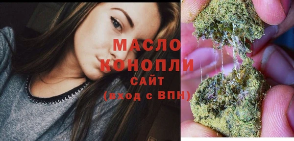 mdpv Ельня
