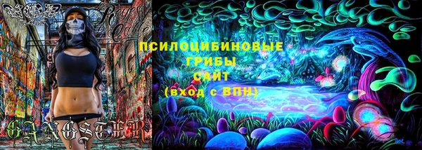 ГАЛЛЮЦИНОГЕННЫЕ ГРИБЫ Усинск