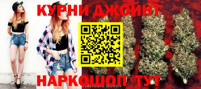 герыч Кингисепп