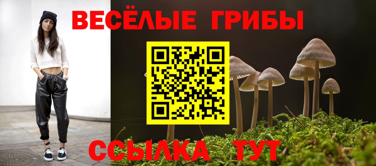 Верхний Уфалей  Псилоцибиновые грибы прущие грибы  Вход с VPN 
